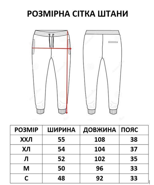 Чоловічий весняний комплект зіпер-худі, штани, Сірий, XXL Z016e фото