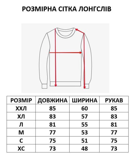 Чоловічий весняний комплект світшот+штани, Беж/Чорний, XXL S0035e фото