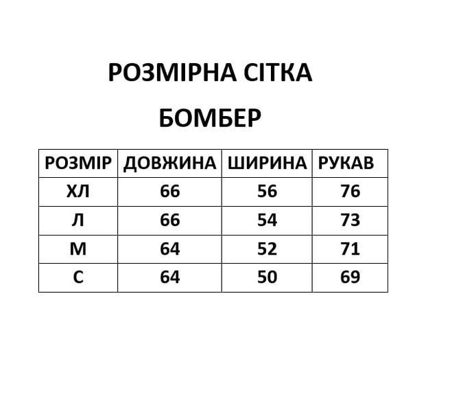 Чоловічий весняний бомбер, Хакі чорний, S B012 фото