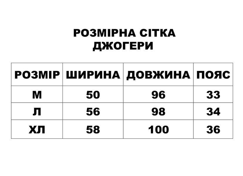 Чоловічий комплект джогери і футболка оврсайз, XL J13b фото